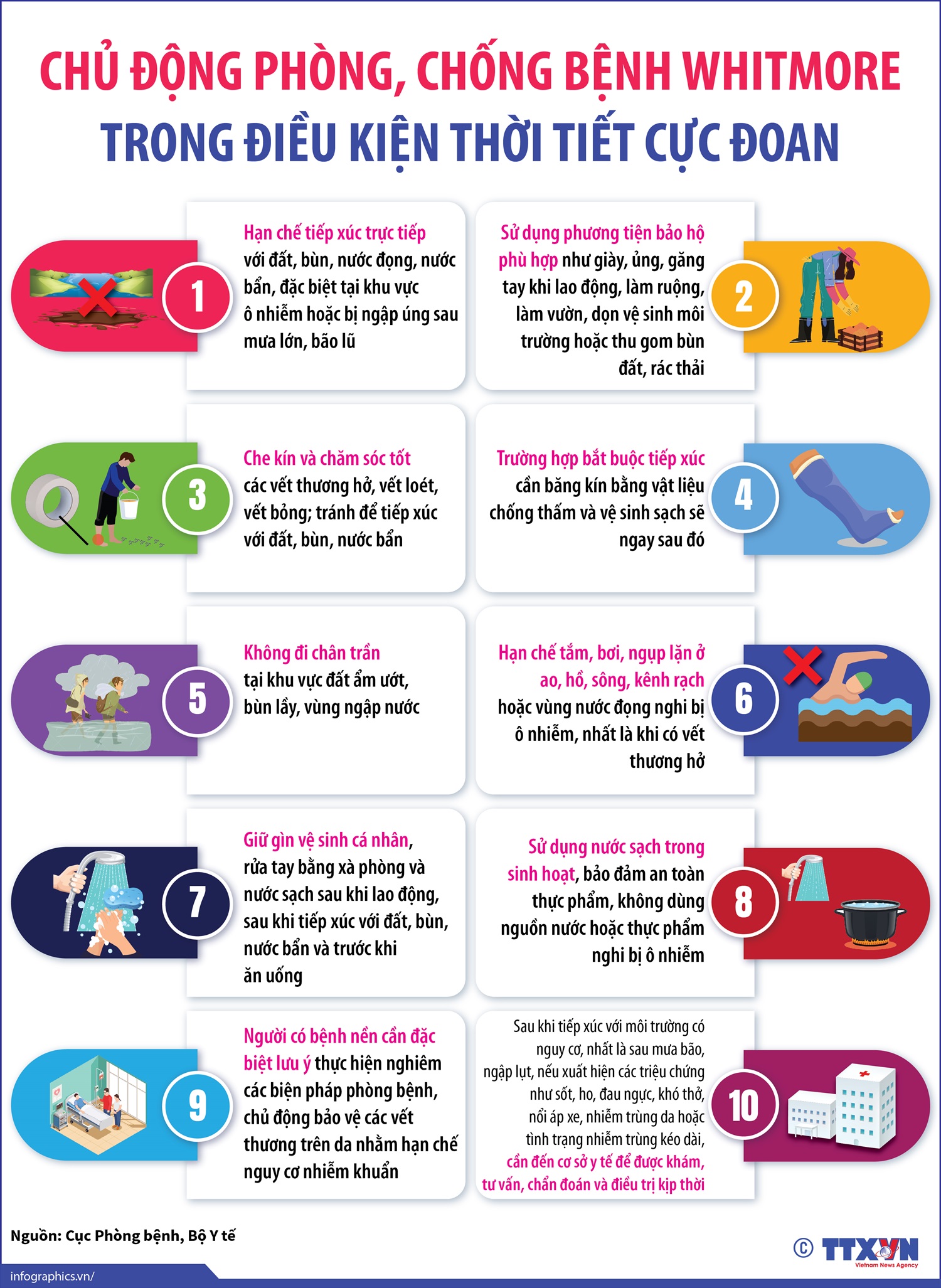 infographic8741778.jpg